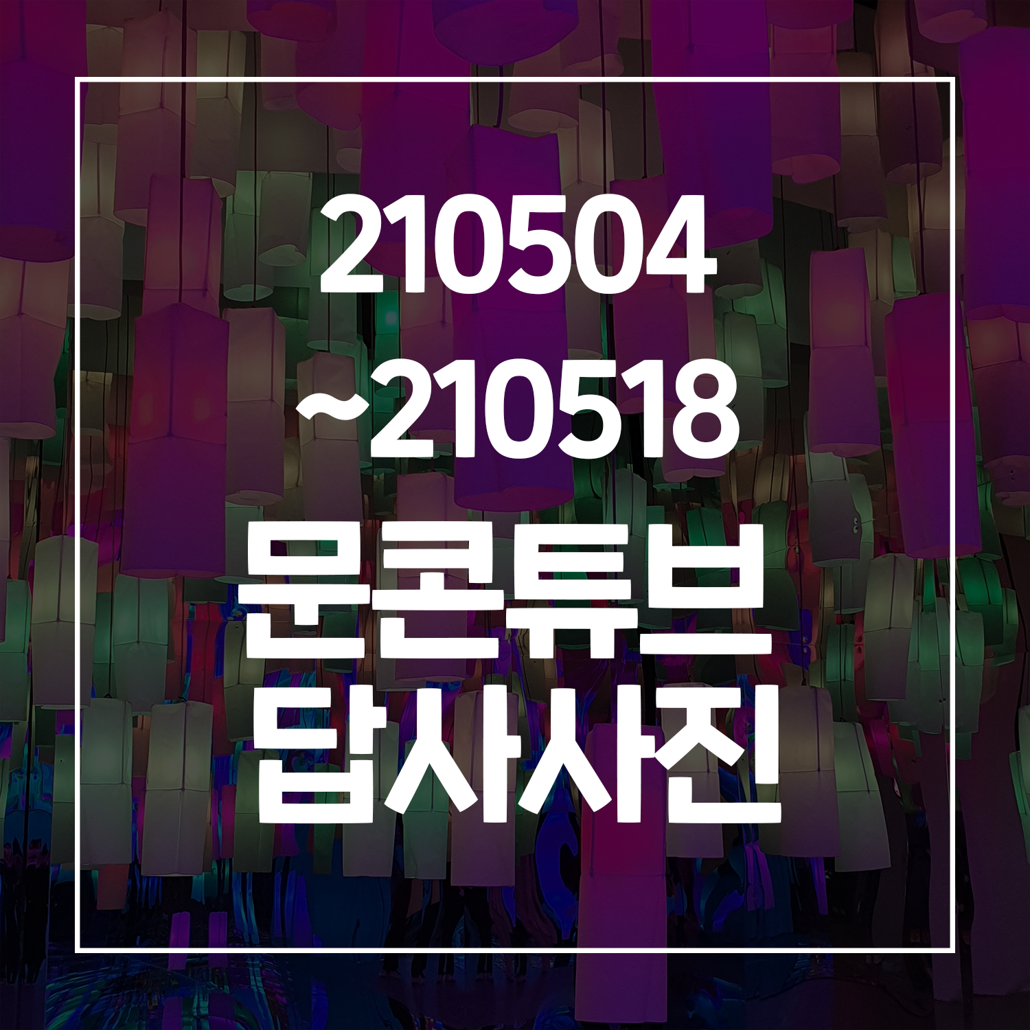 21/05/04~21/05/18 문콘튜브 답사사진 대표이미지